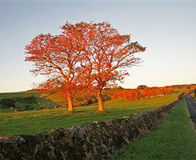 Saddleback Mountain Lookout - Events Australia 2