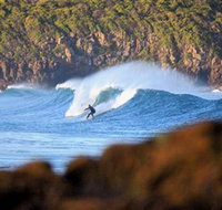 Killalea Beach - Events Australia