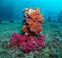 HMAS Brisbane Dive Site - Events Australia