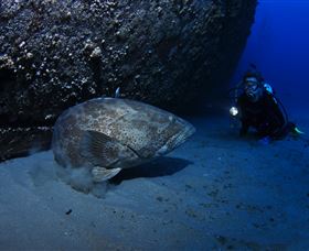 HMAS Brisbane Dive Site - Events Australia 3