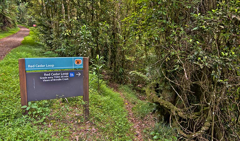 Border Ranges NSW Tourism Bookings