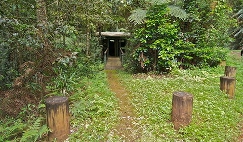 Brindle Creek Picnic Area - Events Australia 0