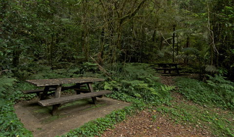 Brindle Creek Picnic Area - Events Australia 2