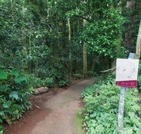 Walk with the Birds boardwalk - Events Australia