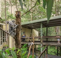 Daisy Hill Koala Centre - Events Australia
