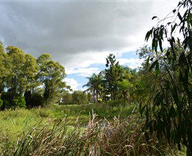 Jabiru Geenbeebeinga Wetlands - Events Australia 2