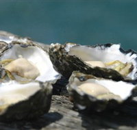 Jim Wilds Oyster Service - Events Australia