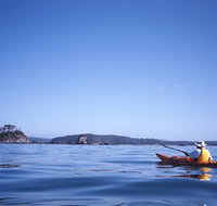 Kayaking Batemans Bay - Events Australia