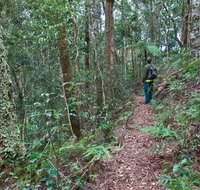 Blackbutt walking track - Events Australia