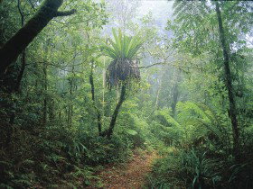 Wagawn - Events Australia 0