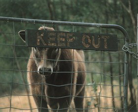 Old Nerrigundah Settlement Trail - Events Australia 1