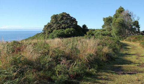 Pretty Beach To Durras Mountain Walking Track - Events Australia 2