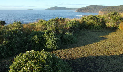 Pretty Beach To Durras Mountain Walking Track - Events Australia 3