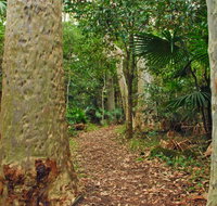 Depot Beach Rainforest walk - Events Australia