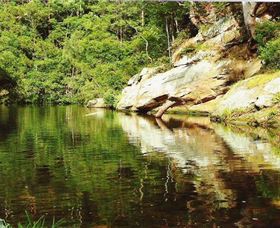 Numinbah Valley Adventure Trails - Events Australia 1