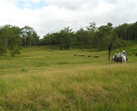 Numinbah Valley Adventure Trails - Events Australia 0