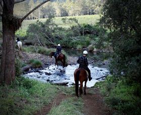 Numinbah Valley Adventure Trails - Events Australia 3