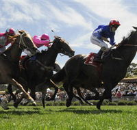 Moruya Racecourse - Events Australia