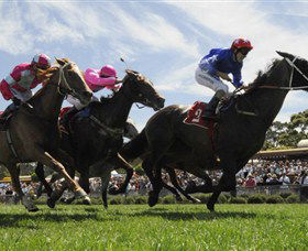 Moruya Racecourse - Events Australia 0
