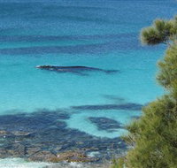 Jervis Bay Marine Park - Events Australia