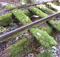 Wootton Historical Railway Walk - Events Australia