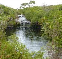 Booderee National Park Green Patch and Telegraph Creek Walking Tracks - Events Australia