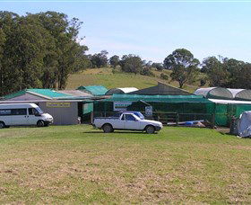 Tinonee NSW Events Australia