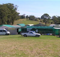 Tinonee Orchid Nursery - Events Australia