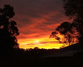 Tinonee Museum - Events Australia 0