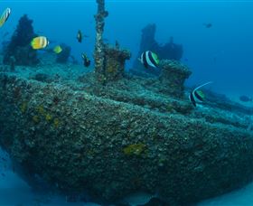 Curtain Artificial Reef Dive Site - Events Australia 1