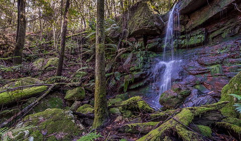Coorabakh National Park - Events Australia 0