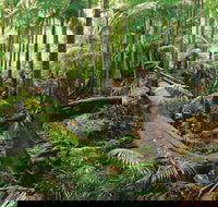 Wollumbin-Mount Warning National Park - Tourism Bookings