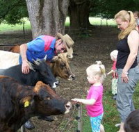 Crystal Creek Miniatures - Tourism Bookings