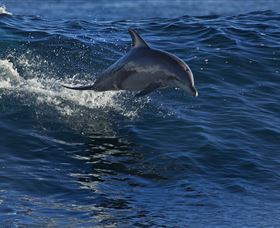 Town Centre - Accommodation Europe 1