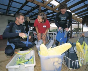 Dolphin Discovery Centre - Tourism Bookings 1