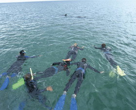 Dolphin Discovery Centre - Tourism Bookings 2