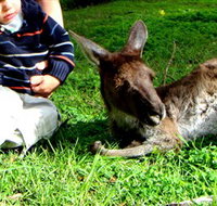 Bunbury Wildlife Park - Events Australia