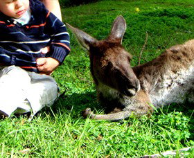 Bunbury Wildlife Park - Events Australia 0