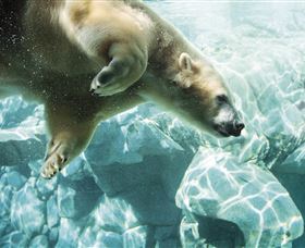 Australia's Sea World - Tourism Bookings 0