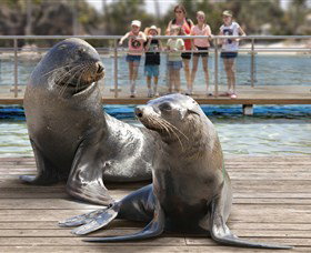 Australia's Sea World - Tourism Bookings 1