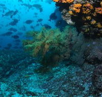 Henderson Rock Dive Site - Events Australia