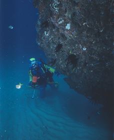 Scottish Prince Dive Site - Events Australia 1