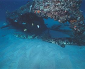 Scottish Prince Dive Site - Events Australia 3
