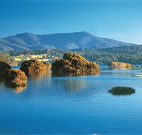 Wagonga Picnic Area - Tourism Bookings