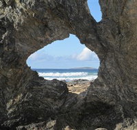 Glasshouse Rocks and Pillow Lava - Tourism Bookings