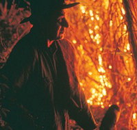 The Shed Gallery - Events Australia