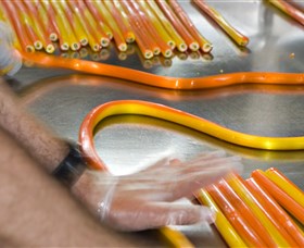 The Big Banana - Tourism Bookings 4