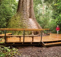 Burrawan State Forest - Events Australia