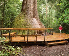 Burrawan State Forest - Events Australia 0