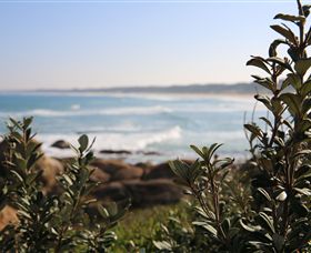 Cape Conran VIC Events Australia